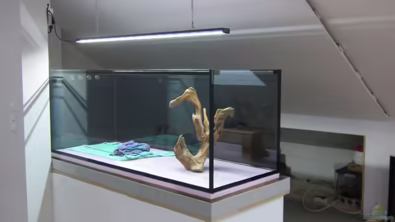 Nach der Vorortverklebungund der Montage des GHL LED-Leuchtbalken von Holly (4)