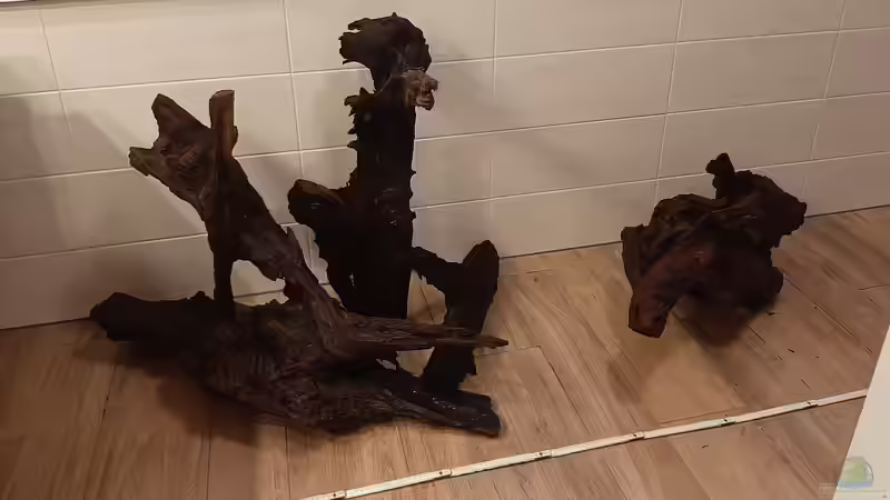 Nach diversen Proben soll das Hardscape so aussehen von Memo (9)