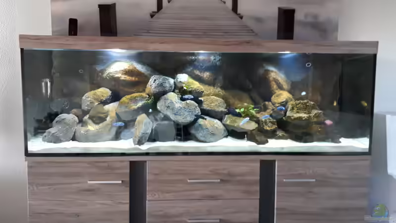 Nach ein paar Wochen von Malawi22 (16)