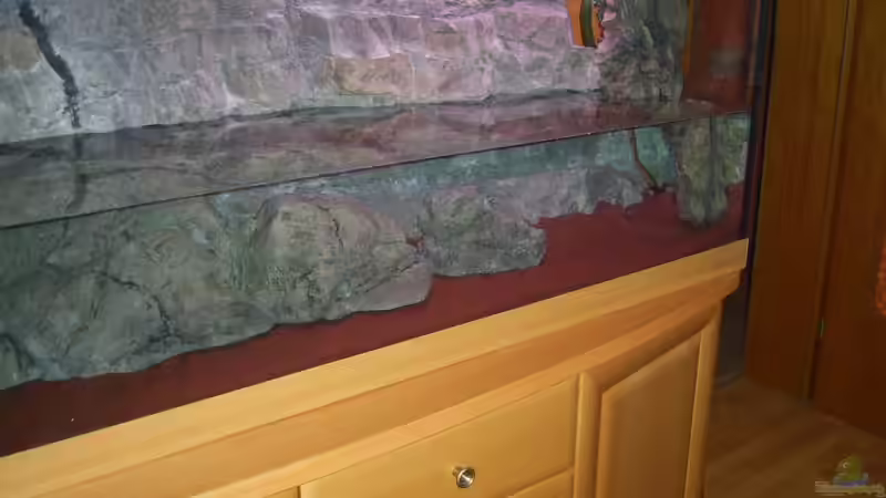 Nach Einbau der Rückwand, des Sandes und dem langsamen Befüllen von Frank Hopp (7)