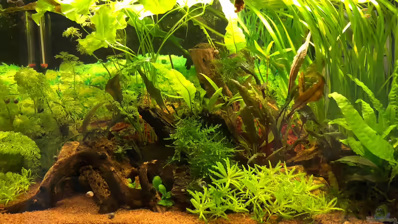 Nach einem knappen halben Jahr von TR (5)