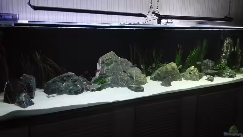 Nach einem Monat von Elsiman (8)