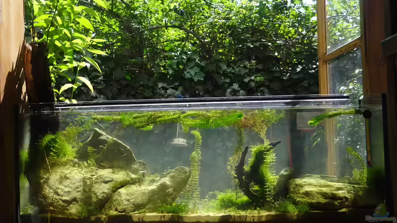 Nach einem Monat von paris (4)