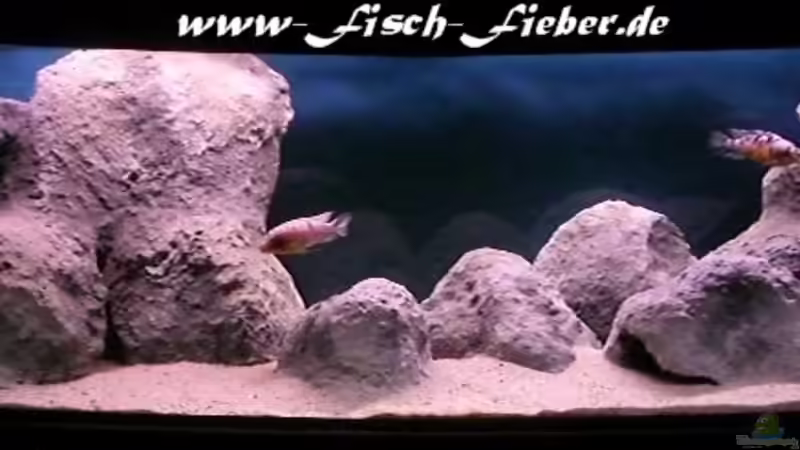 nach einem Tag mit neuer Einrichtung von Dirk Friebe (2)