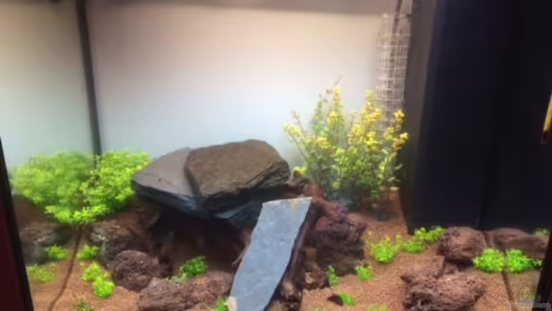 Nach einem Tag von markdoe (2)