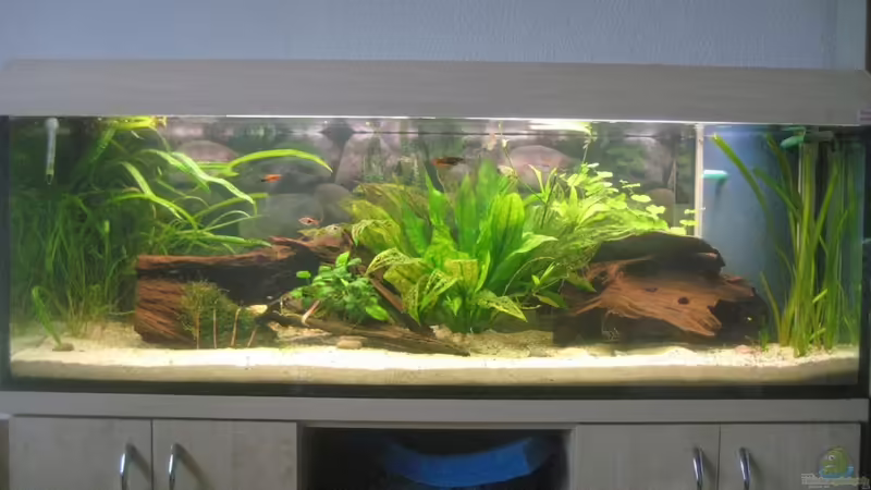 nach einer woche alles klar