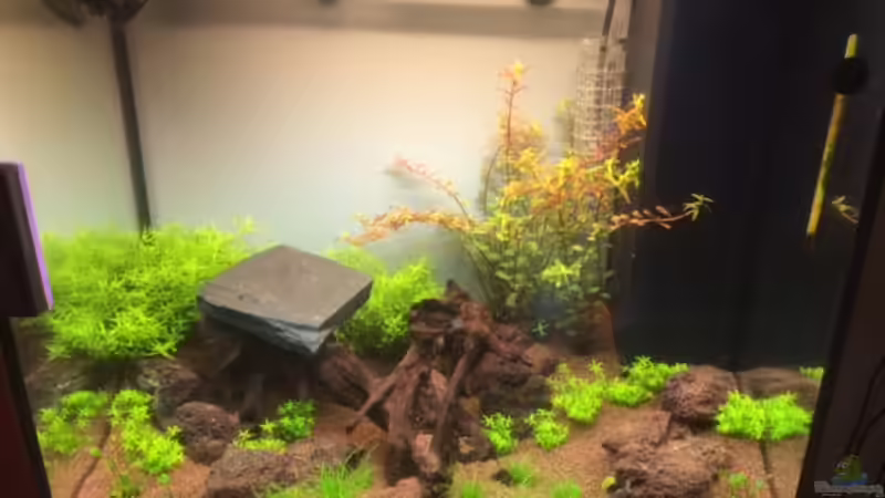 Nach einer Woche von markdoe (3)