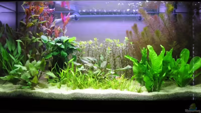 Nach einer Woche von Sascha Bötzel (3)