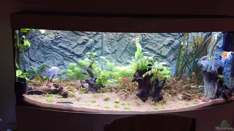 Nach einer Woche von Stefan von Oettingen (8)