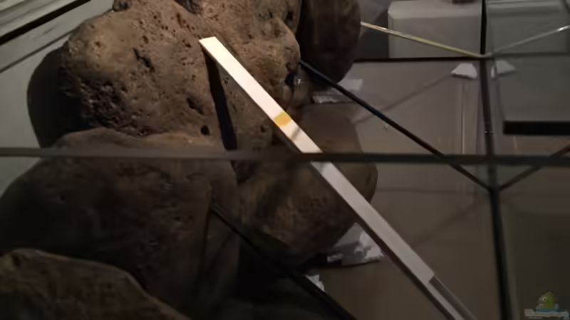 Nach einigem probieren, das letztendliche Setup/Scaping von TheToxicAvenger (15)