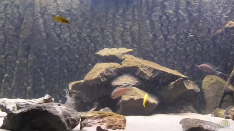 Nach einigen Tagen!! von Haens84 (34)