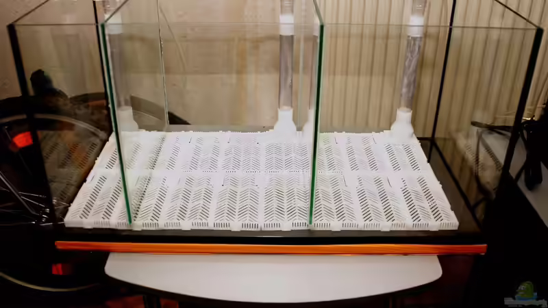 Nach Einkleben der Trennscheiben mit Bodenfilter von Micha (7)