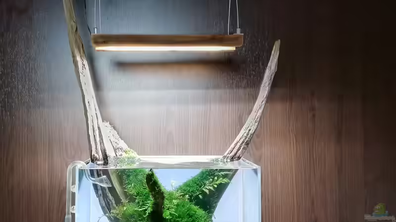 Nach Einrichtung 2020 von Fredo Fuss (2)