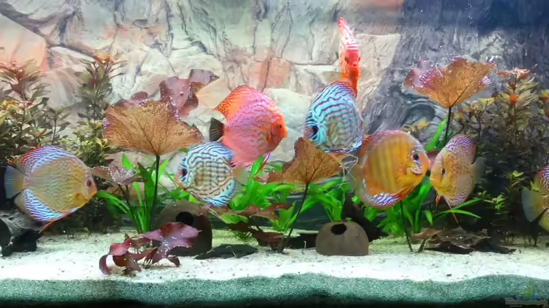 nach Einrichtung von Hydropneumat (2)