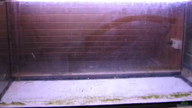 nach entleerung des alten Beckens --->dreck ersichtlich von Gladbacherfohlen86 (3)