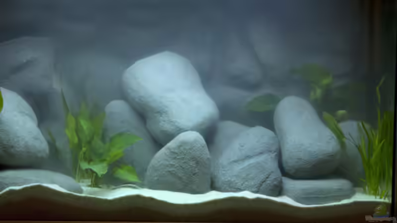 Nach Erstbefüllung, Frontalansicht. von boffix (8)