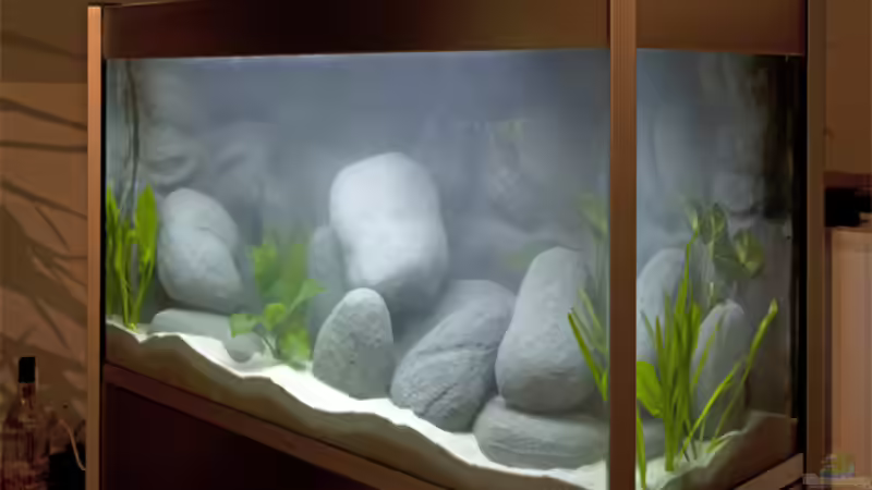 Nach Erstbefüllung, Wasser noch trüb. von boffix (7)