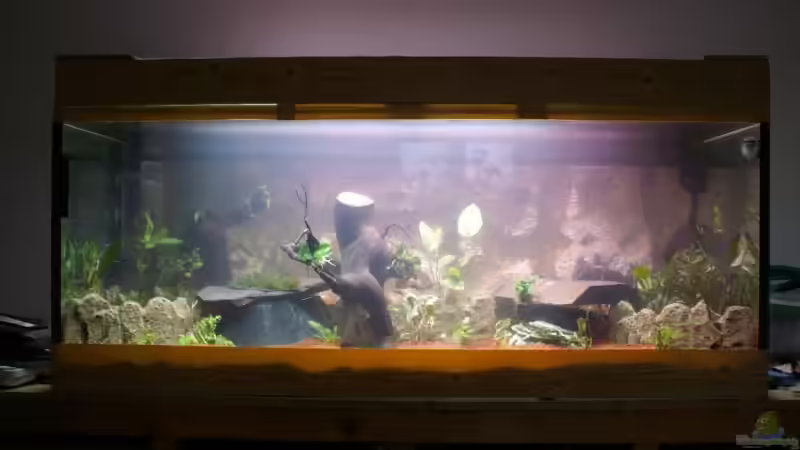 Nach Erstbefüllung von Christian Zwick (2)