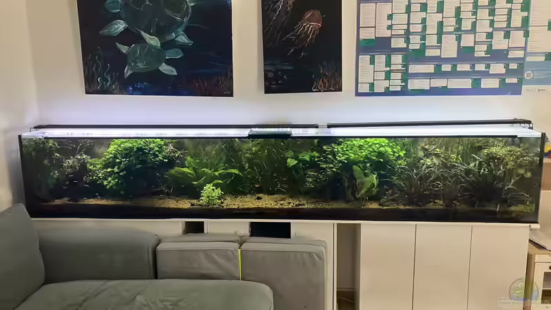 Nach etwa 3 Jahren  von Fischfan11 (1)