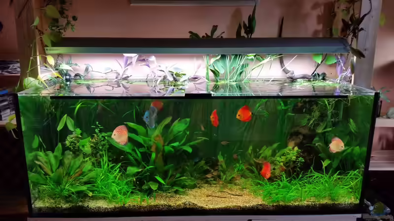 Nach etwas über 1 1/2 Jahren! von nawaro (4)