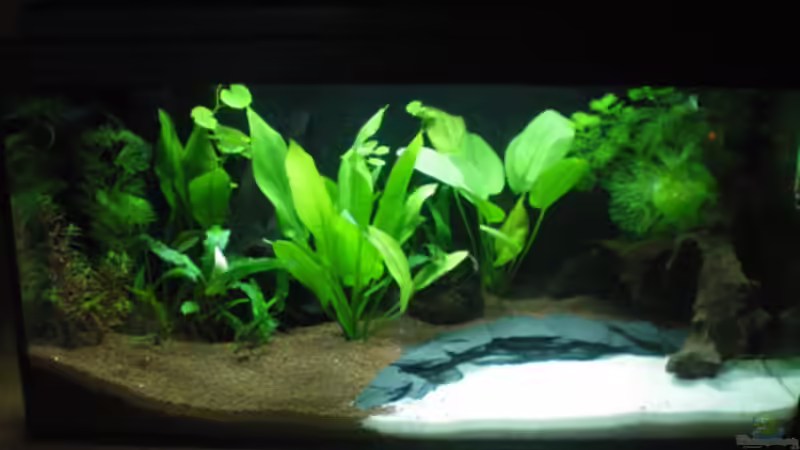 nach fast 2 Wochen... von Thomas Ahrens (4)