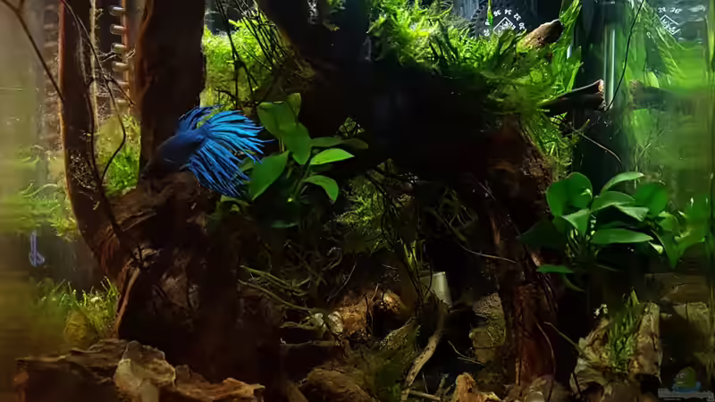 Nach fast 6 Wochen  von Erik H. (4)