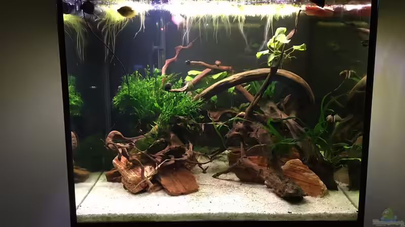 Nach fast vier Wochen von Ottche (15)