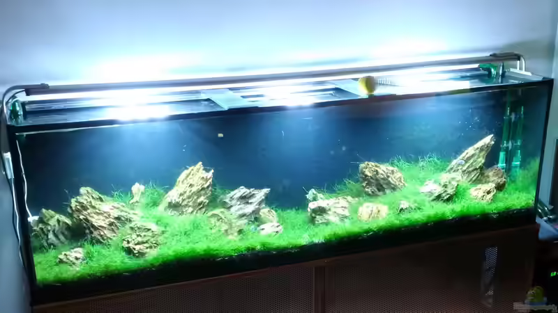 Nach genau einem Monat  von koba2 (3)