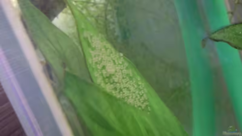 Nach getaner Arbeit von ~Danny~ (32)