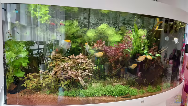 Nach gut vier Wochen Nach gut vier Wochen