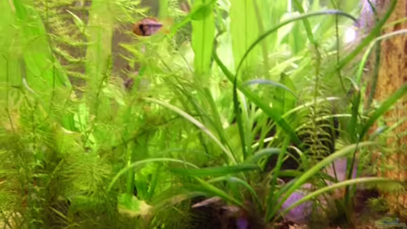 nach guten 9 Monaten Seitenansicht von Fireman (7)