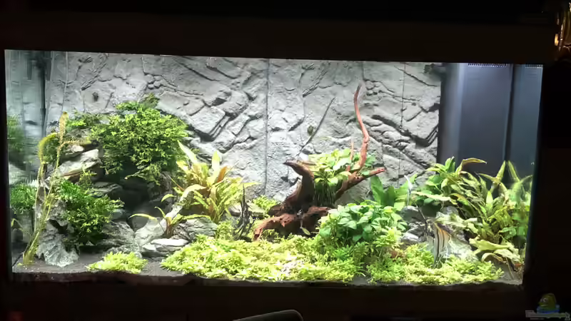 Nach jetzt ca. einem Jahr von AchimSaar (55)