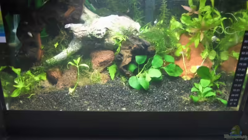 nach komplettumbau  von Plattenjaeger (1)