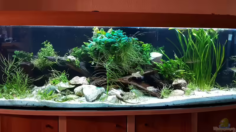 Nach neu Einrichtung von Petrich15 (1)