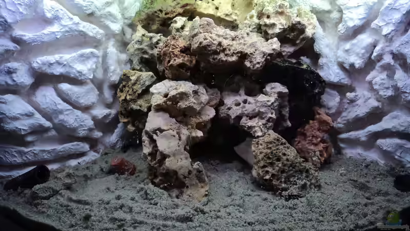 nach Neueinbau der 3D Rückwand von malawifans (8)