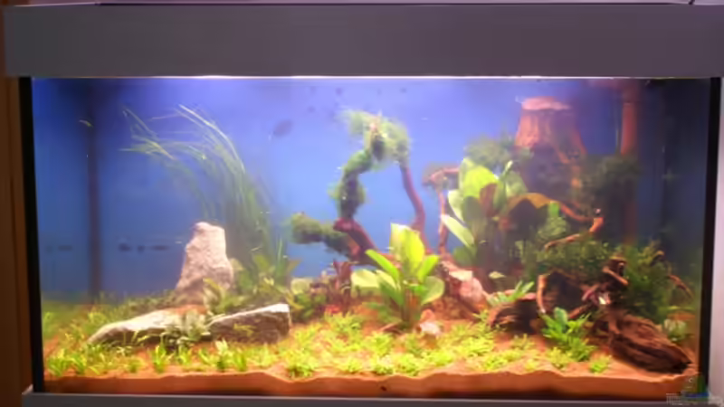 Nach Neueinrichtung am 10.05.2007 von flaschenbauer (2)