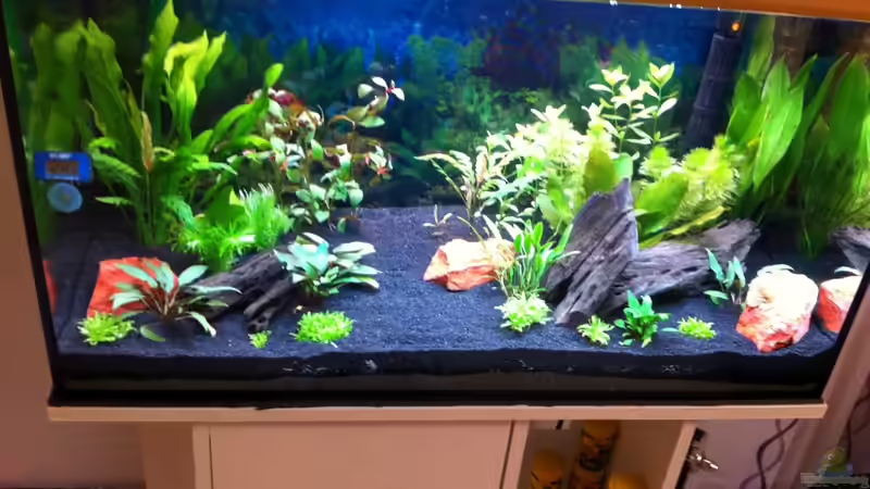 Nach Neueinrichtung von Nastassja&Mario T (3)