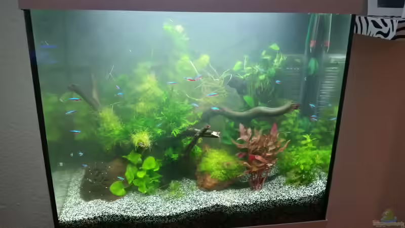 nach Umbau 22.02.16 von Angie777 (4)