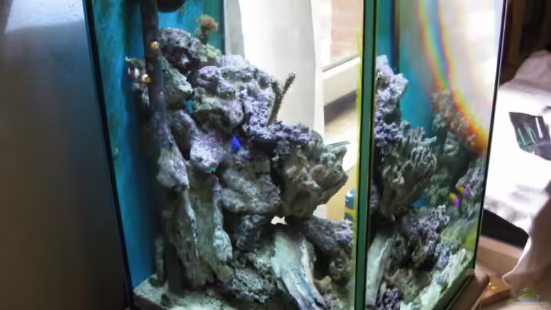 nach umbau ansicht links /vorne von Christian Schneider (11)