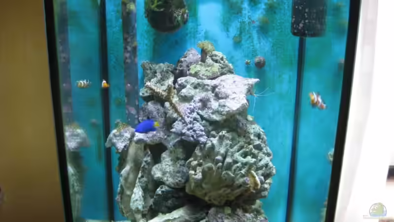 nach umbau ansicht vorne von Christian Schneider (12)