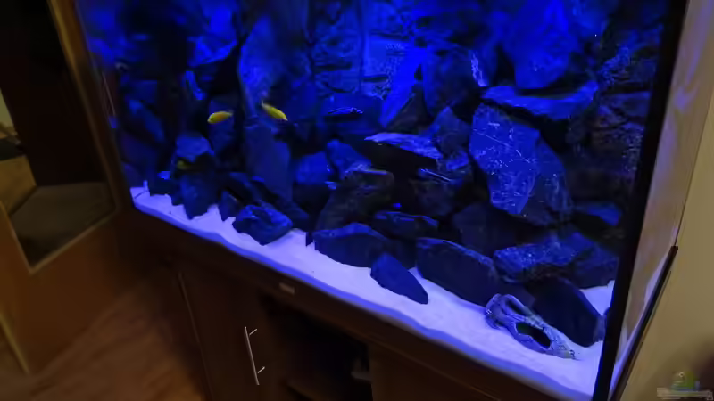 Nach Umbau mit 125 kg Basalt von Ole Möhre (1)