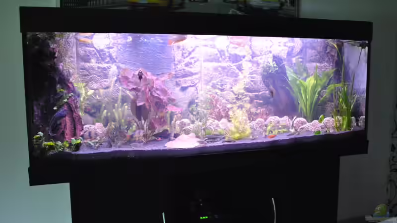 Nach Umbau von Asterrati (7)