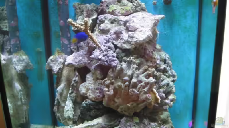 nach umbau von Christian Schneider (7)