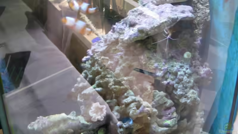 nach umbau von Christian Schneider (8)