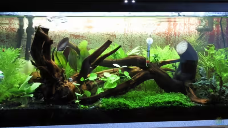 nach Umbau von crayfish79 (3)