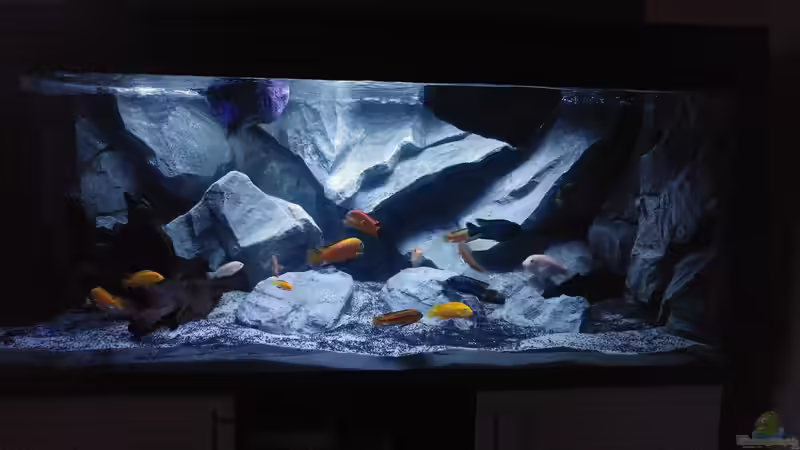 nach Umbau von Mirko Zeisse (13)