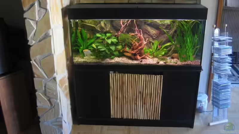 Nach Umzug 19.2.09 von Marco Weis (12)