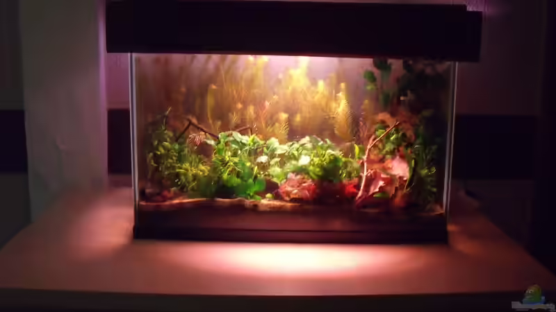 nach Umzug bis anfang Febuar 2011,sah es so aus    so von PH Neutral (3)