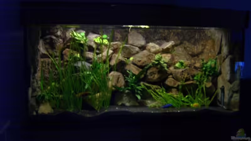 nach Umzug neu eingerichtet