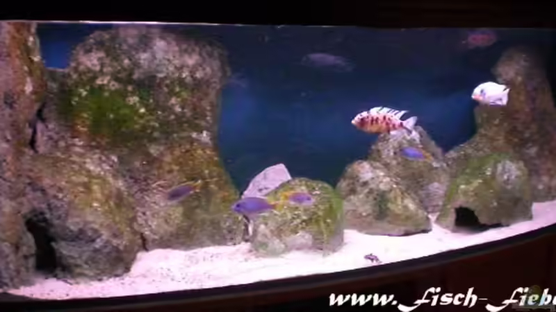 nach vier Monaten von Dirk Friebe (4)